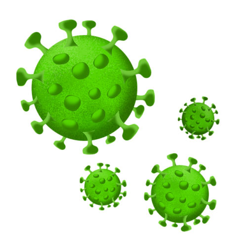 Le Salon de Musique | Coronavirus