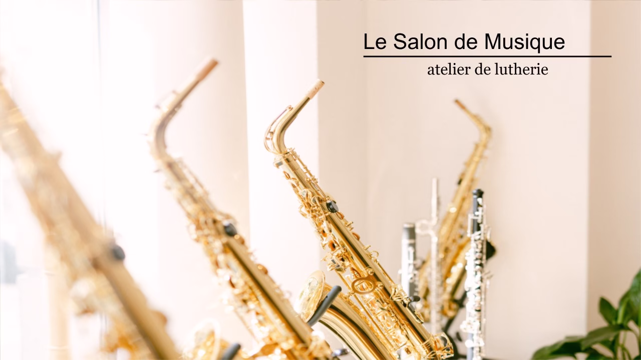 Le Salon de Musique | ls project 1 slide 2