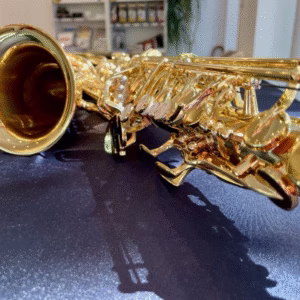 Saxophone alto Yanagisawa WO1