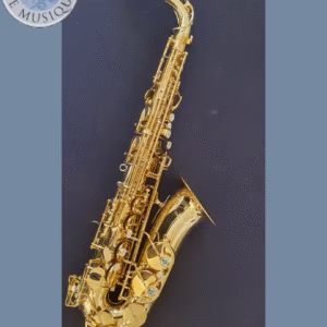Saxophone alto Yanagisawa WO1 laiton brut