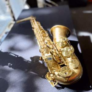 Selmer Suprême Brossé