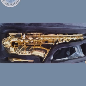Saxophone alto Selmer Axos verni