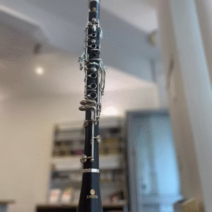 Clarinette Sib Jupiter 1100 d'occasion